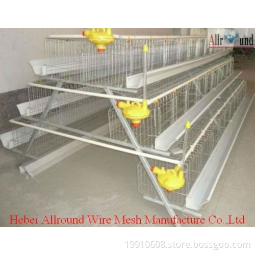 automatic equipment cage for layers